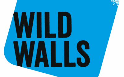 ‘Wild Walls’ urban art programme in Ipswich calls for people under 30 to get involved this summer